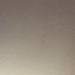 Meet your Posher, Blake